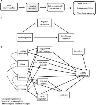 Rehabilitation Interventions to Promote Recovery from Schizophrenia: A Systematic Review